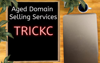 aged domain