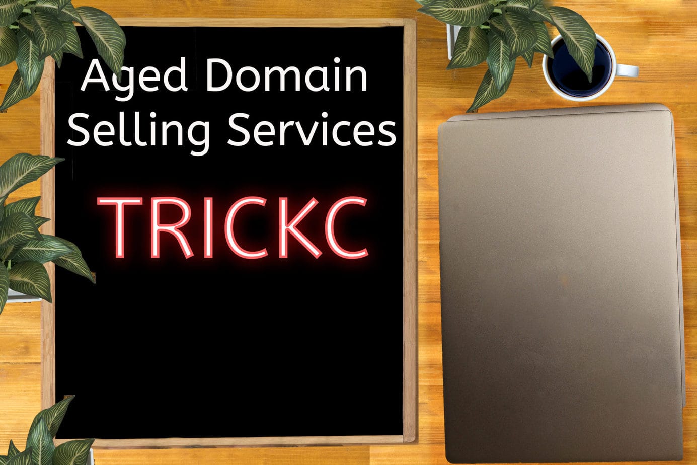 Aged Domain Selling Services